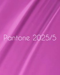 NAILSOFTHEDAY Pantone 2025/5 Gel Polish - lavender-pink gel polish, 10 ml