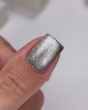 NAILSOFTHEDAY Cat Eye Gel Polish 01 – srebrno-szary lakier hybrydowy z efektem "kocie oko", 6 ml