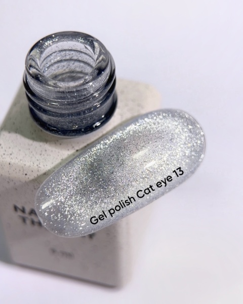 NAILSOFTHEDAY Cat Eye Gel Polish 13 - srebrny lakier hybrydowy z intensywnym efektem "kocie oko", 6 ml