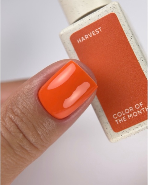 NAILSOFTHEDAY Color of the Month September 2026 Harvest - ciepły pomarańczowy lakier hybrydowy, 10 ml